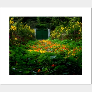 Nasturtiums in Monet's Garden, Giverny, France Posters and Art